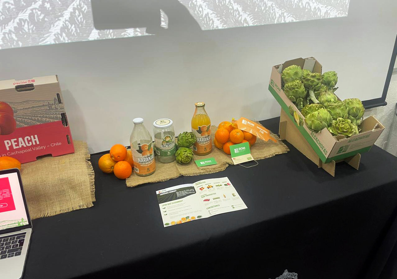 IMPULSA PYME – Proyecto Profesional VM