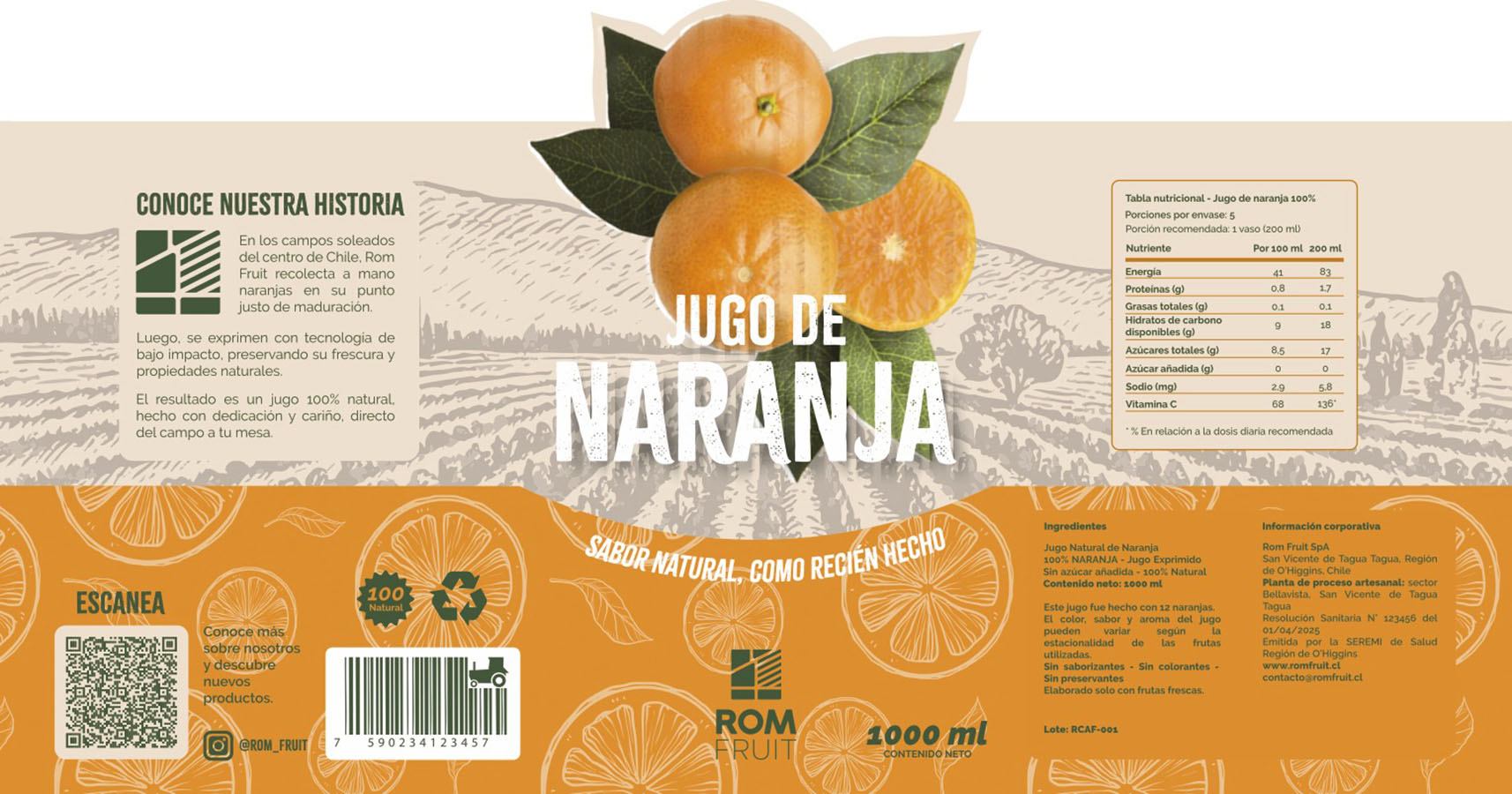 IMPULSA PYME – Proyecto Profesional VM