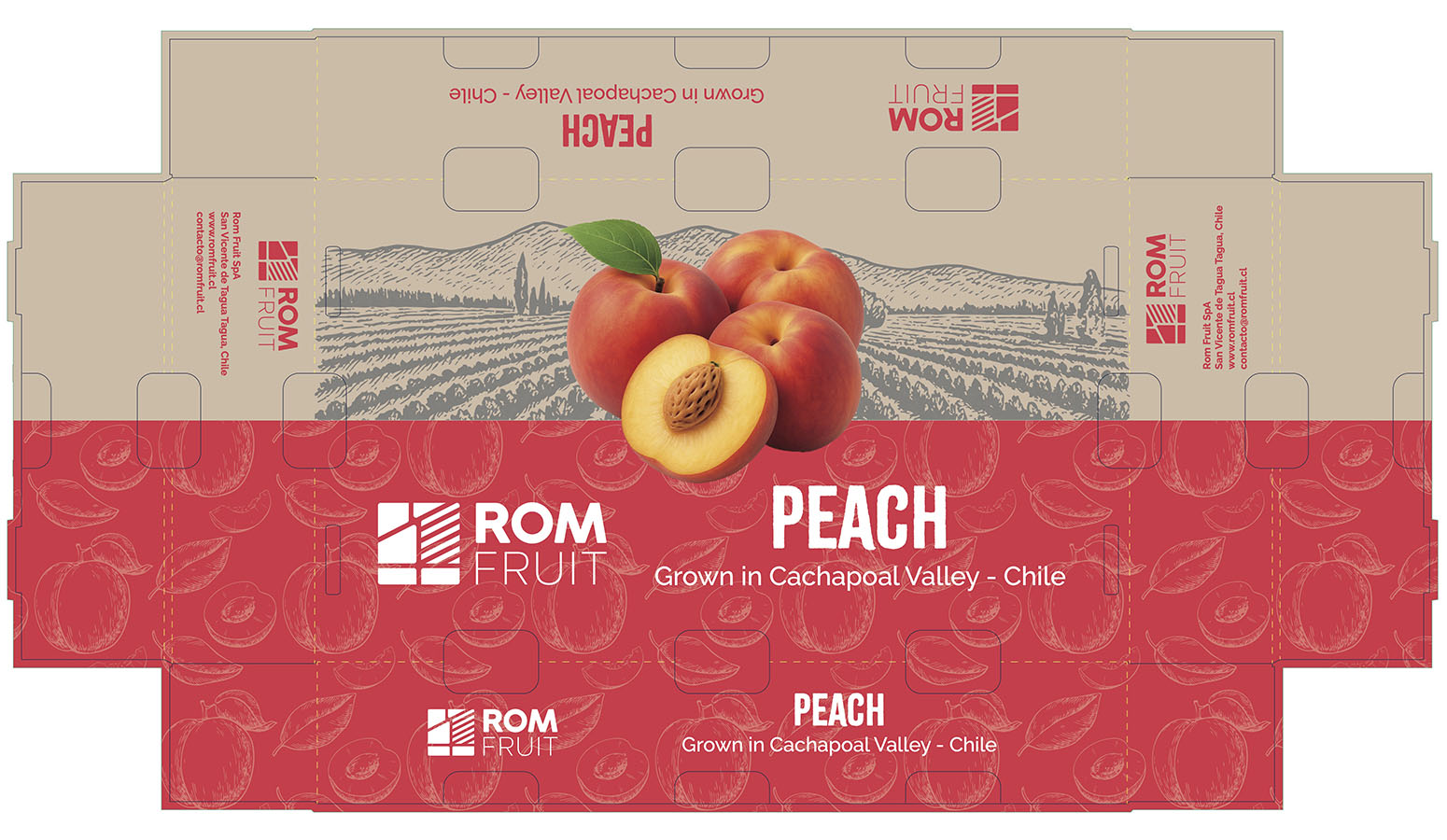 IMPULSA PYME – Proyecto Profesional VM