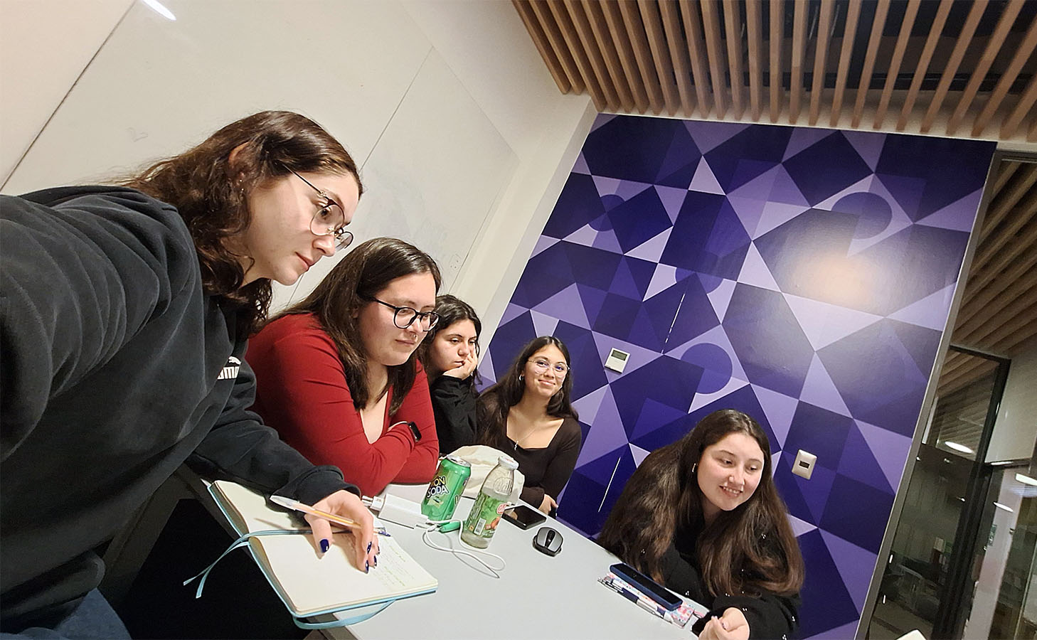 Diseño de Espacios Invernadero Quinta Normal