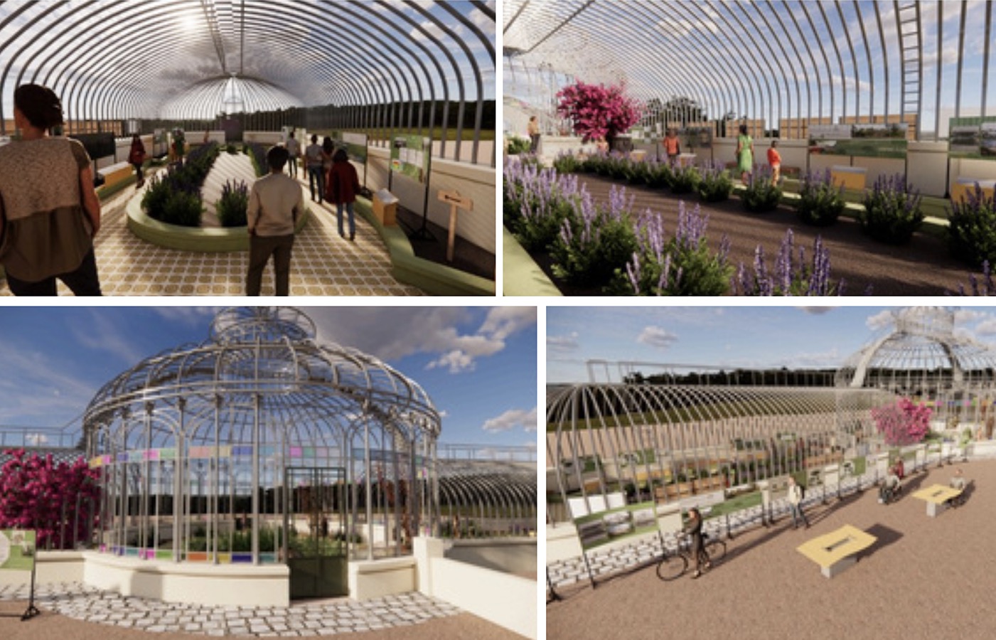 Diseño de Espacios Invernadero Quinta Normal