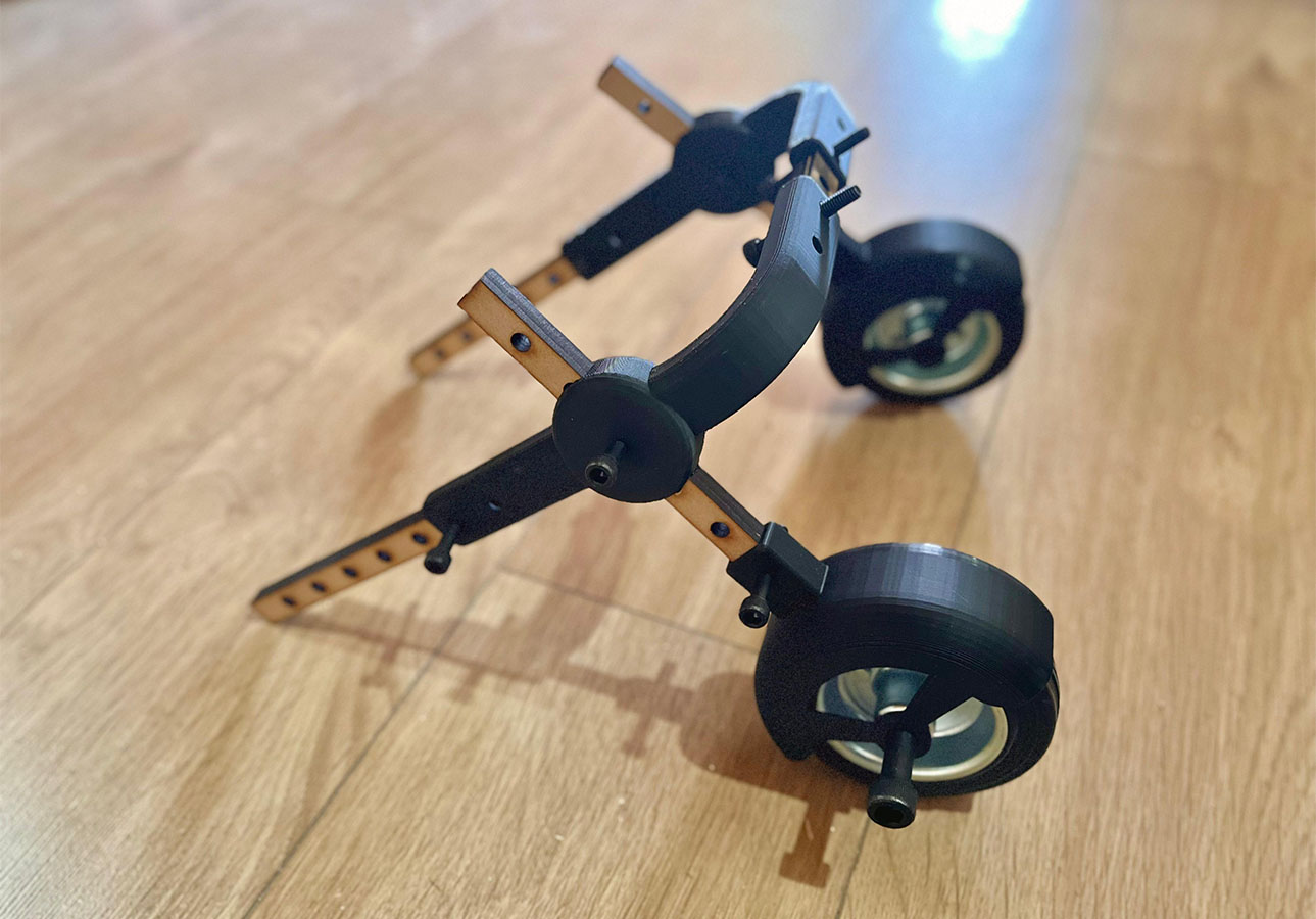 Dispositivos de Movilidad Asistida para Animales