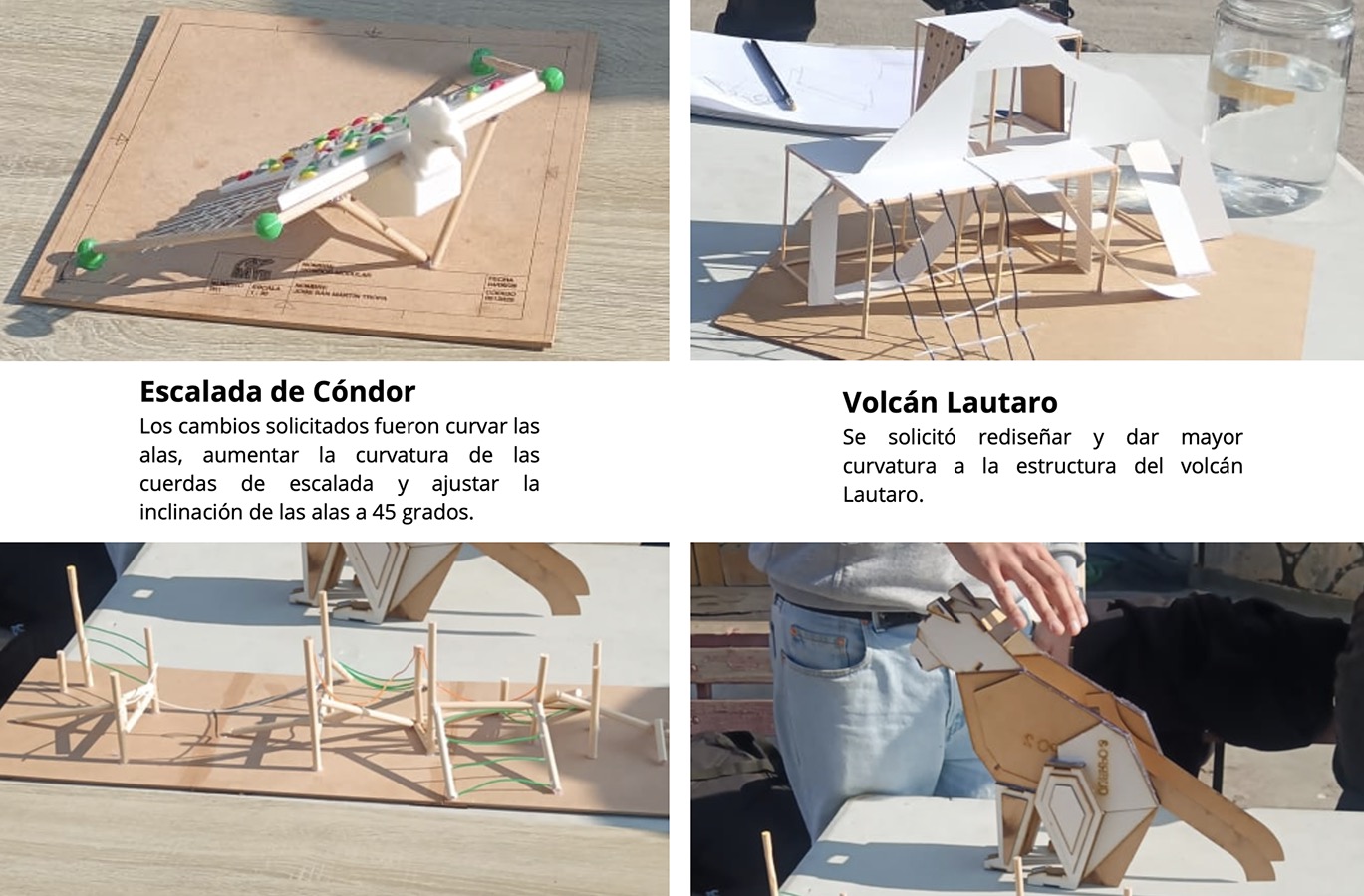 PROYECTO PROFESIONAL Trabajo Colaborativo con Clientes Reales (DI)