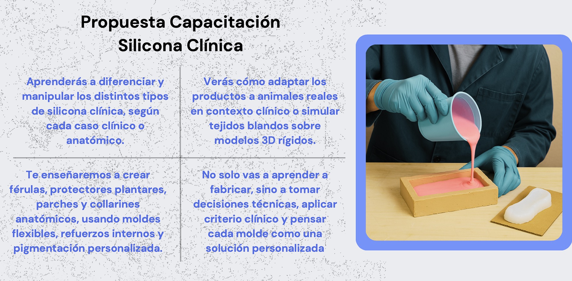 PROYECTO PROFESIONAL Trabajo Colaborativo con Clientes Reales (DI)