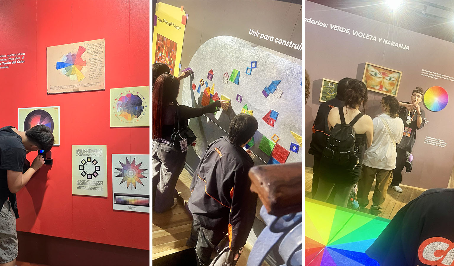 Diseño de Interfaz y Servicio Digital para Museo Artequin