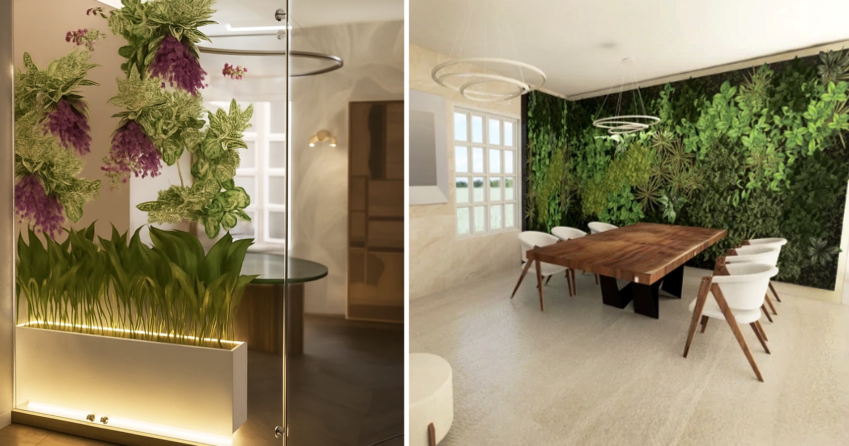 PROYECTO PROFESIONAL DAM con Clientes Reales