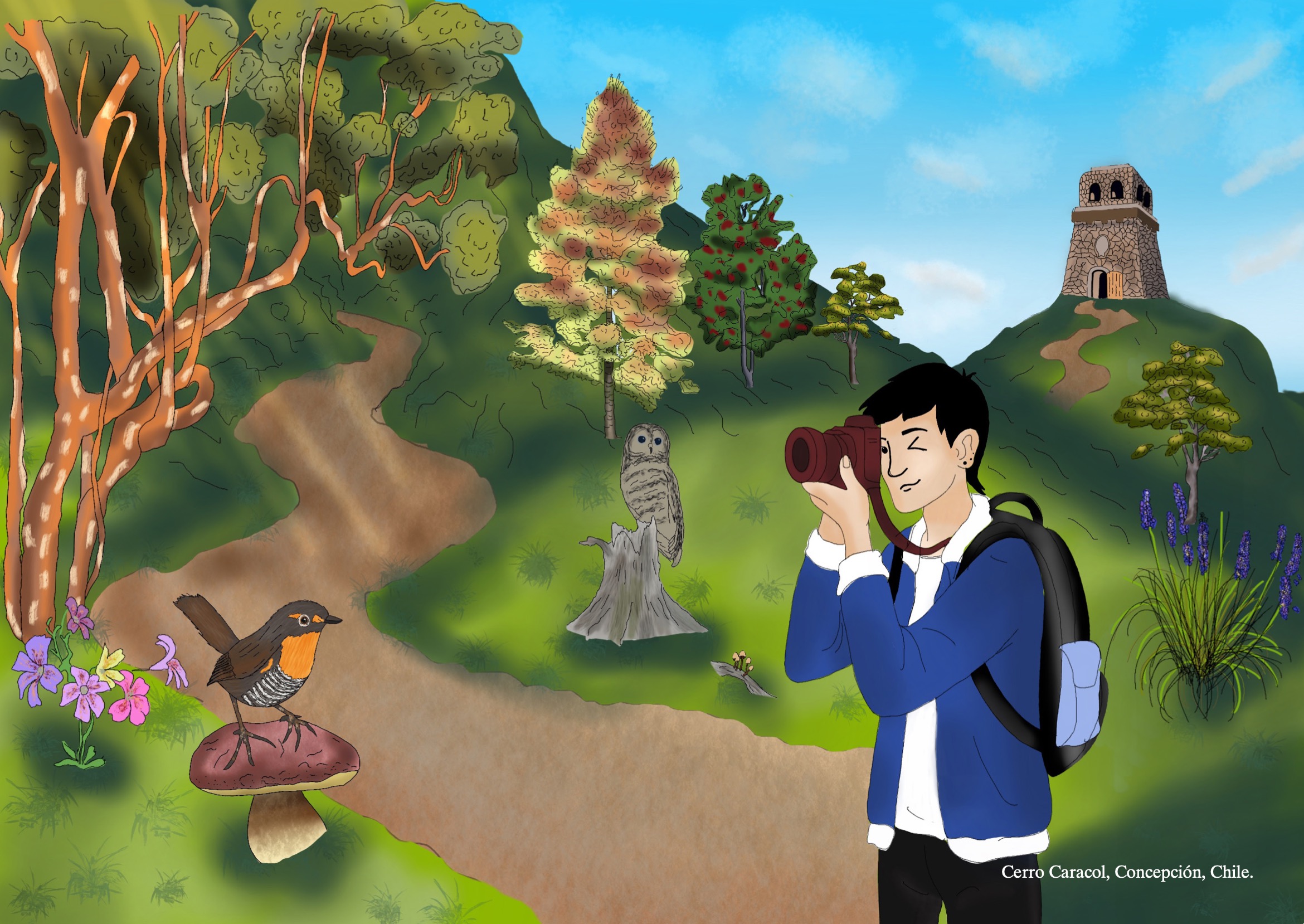 Aprendizaje Ilustrado Dostercios Editorial