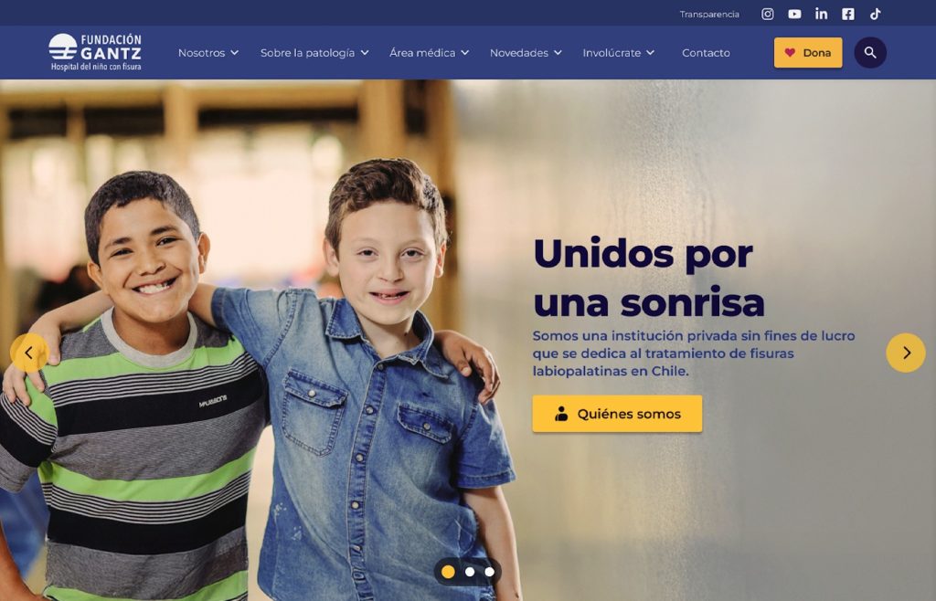 Rediseño Sitio Web Fundación Gantz