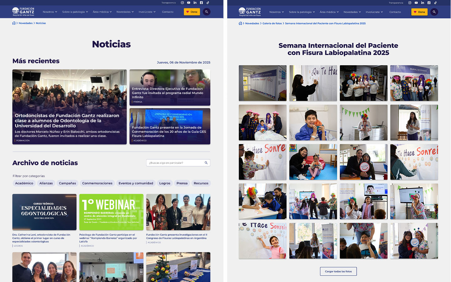 Rediseño Sitio Web Fundación Gantz