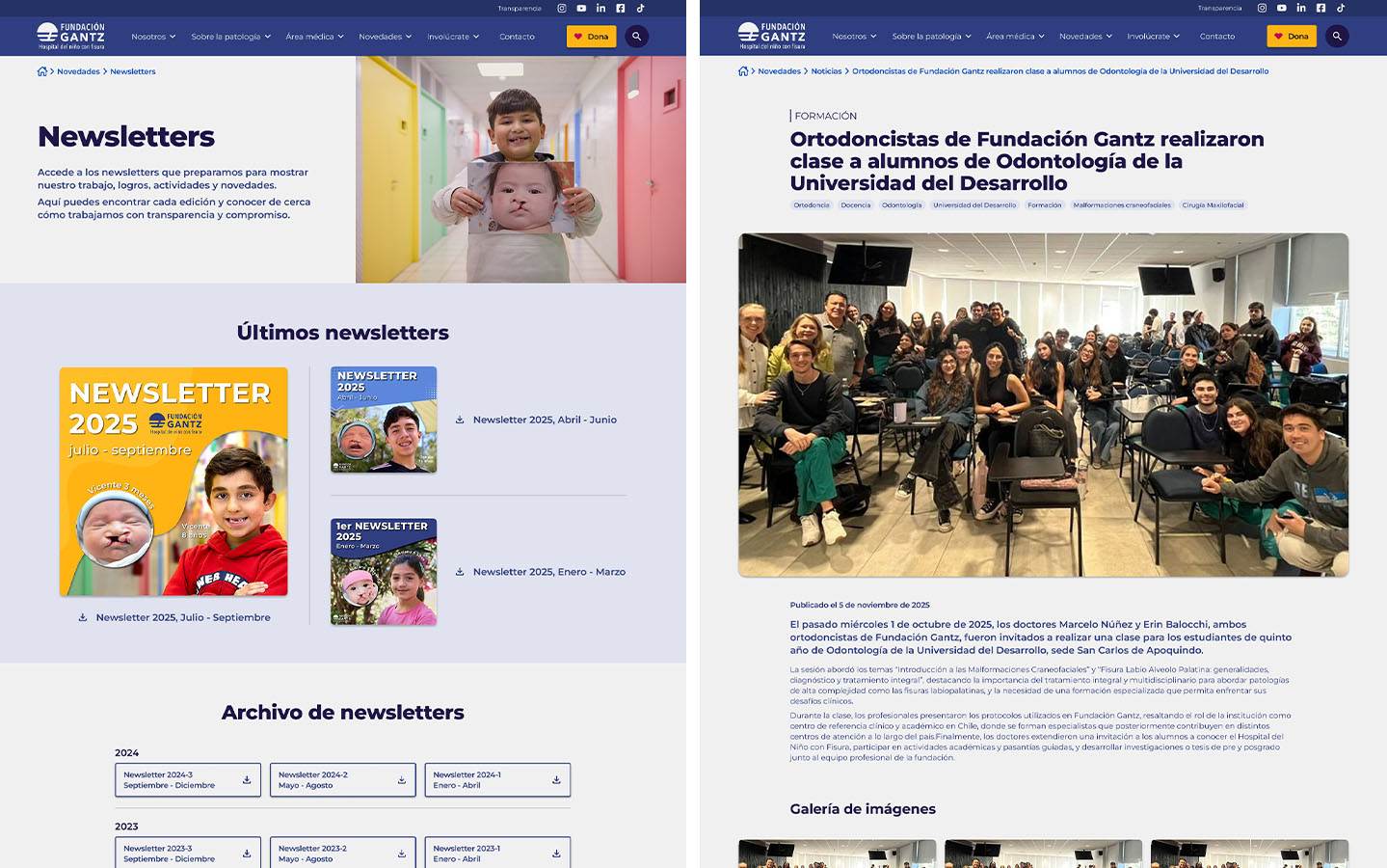 Rediseño Sitio Web Fundación Gantz