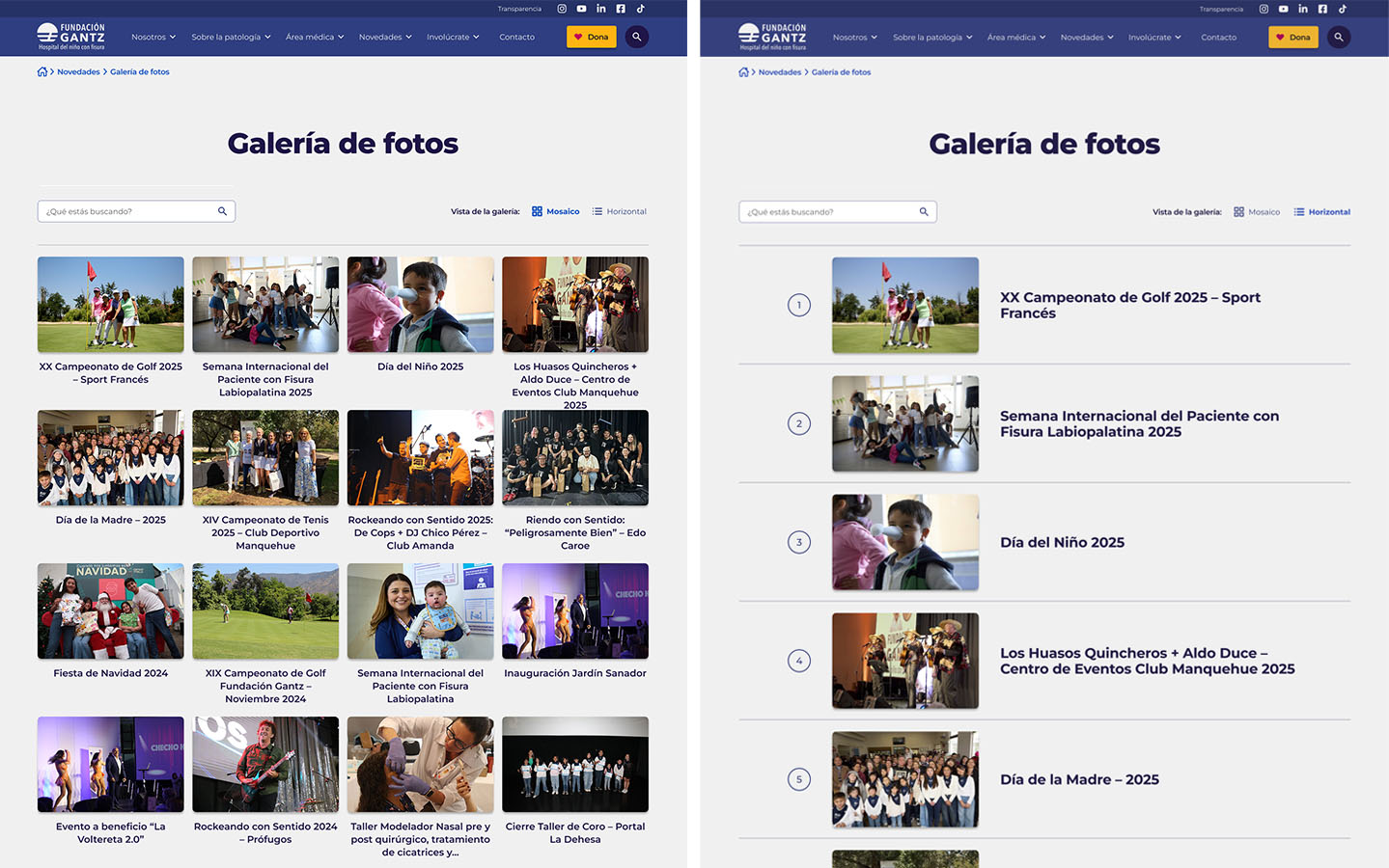 Rediseño Sitio Web Fundación Gantz