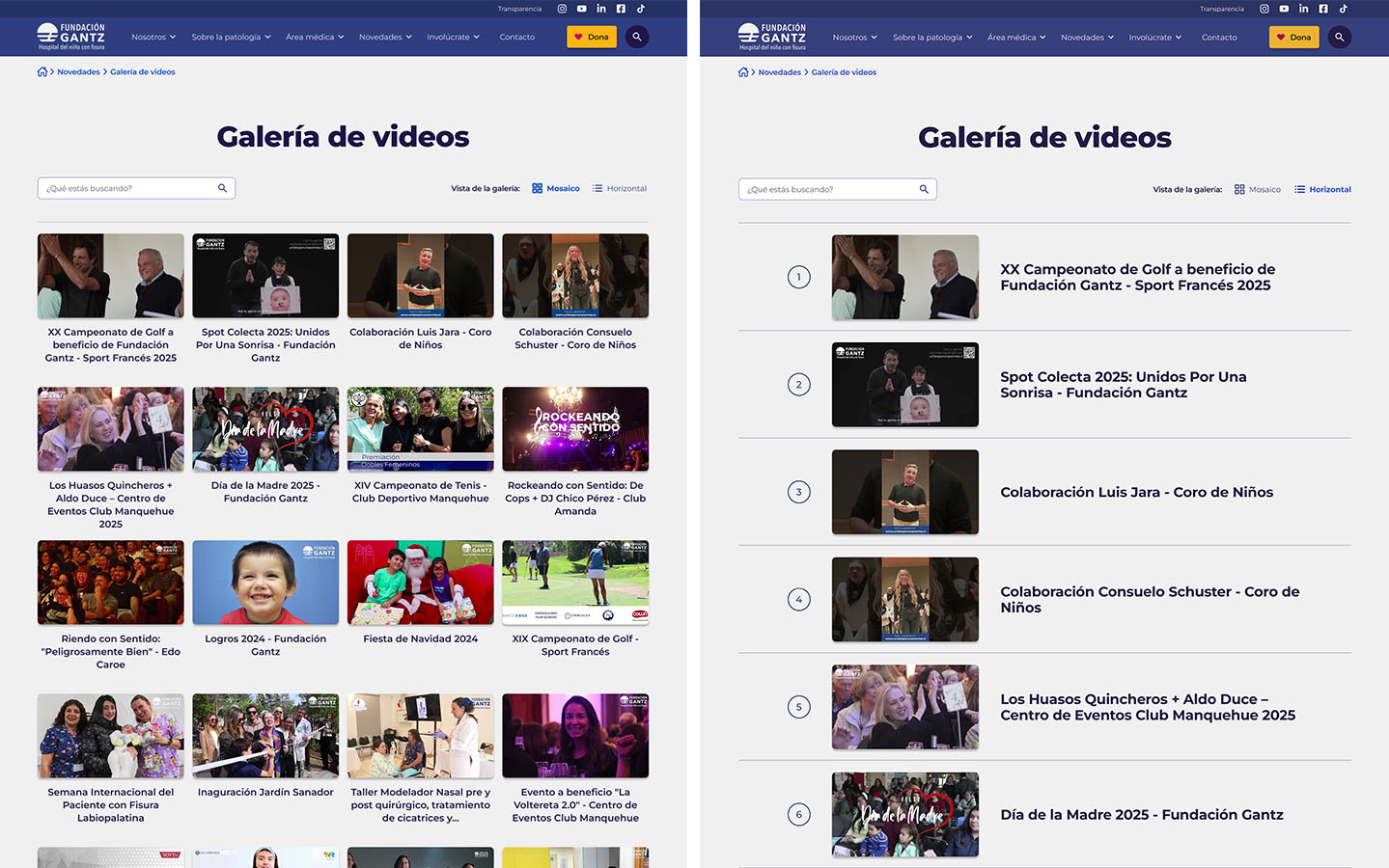 Rediseño Sitio Web Fundación Gantz