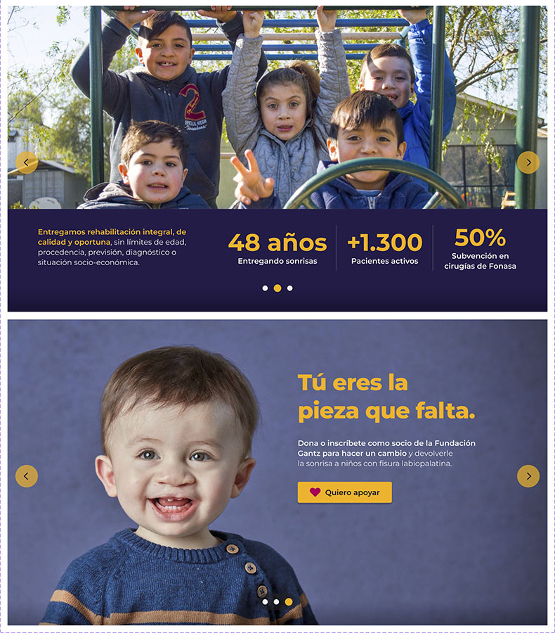 Rediseño Sitio Web Fundación Gantz