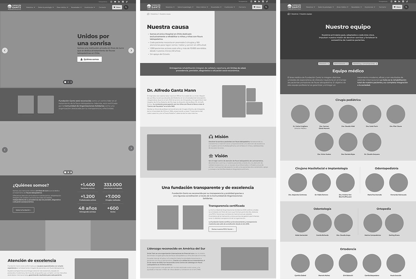 Rediseño Sitio Web Fundación Gantz