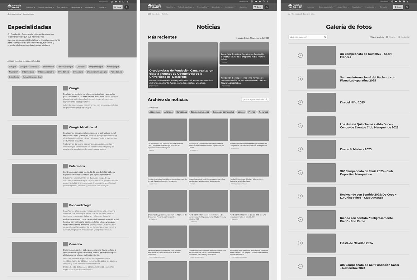 Rediseño Sitio Web Fundación Gantz