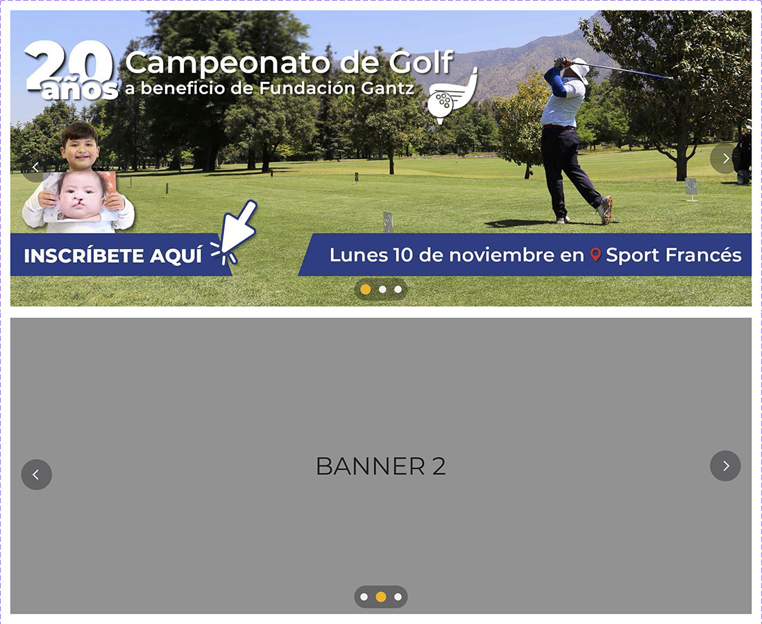 Rediseño Sitio Web Fundación Gantz