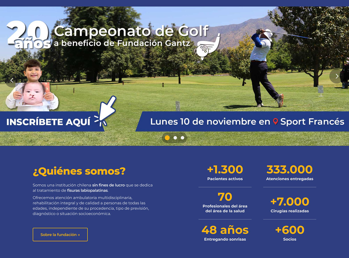 Rediseño Sitio Web Fundación Gantz