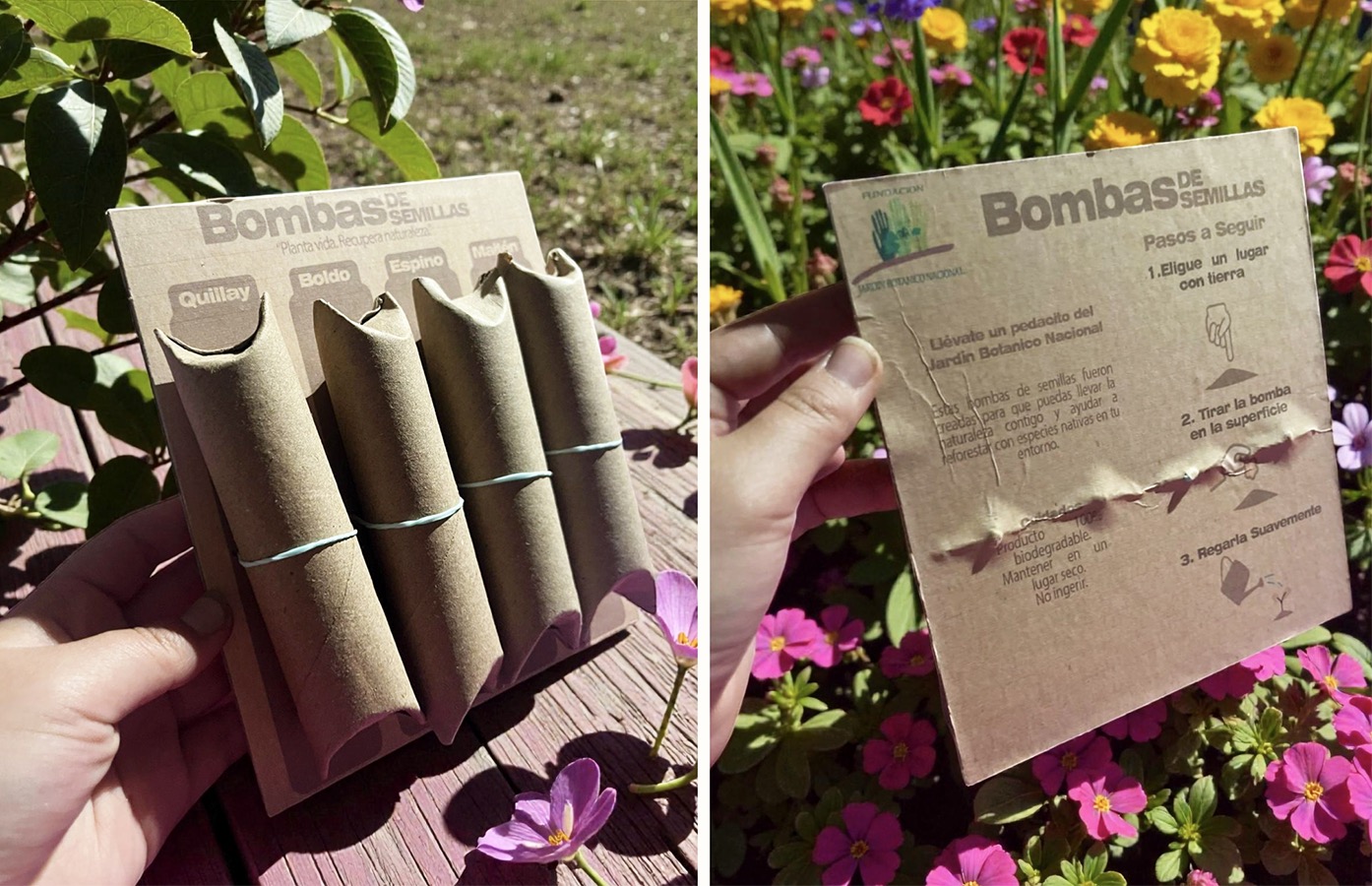 Productos Identitarios de Souvenirs para Jardín Botánico Nacional Viña del Mar
