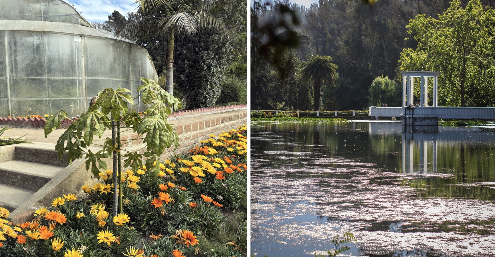 Productos Identitarios de Souvenirs para Jardín Botánico Nacional Viña del Mar