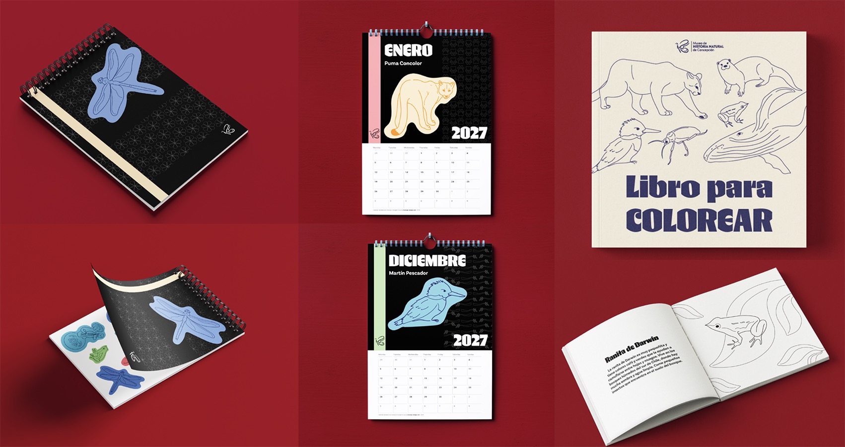 Diseño Marca 125 Años + Sistema Señalización Museo Historia Natural de Concepción