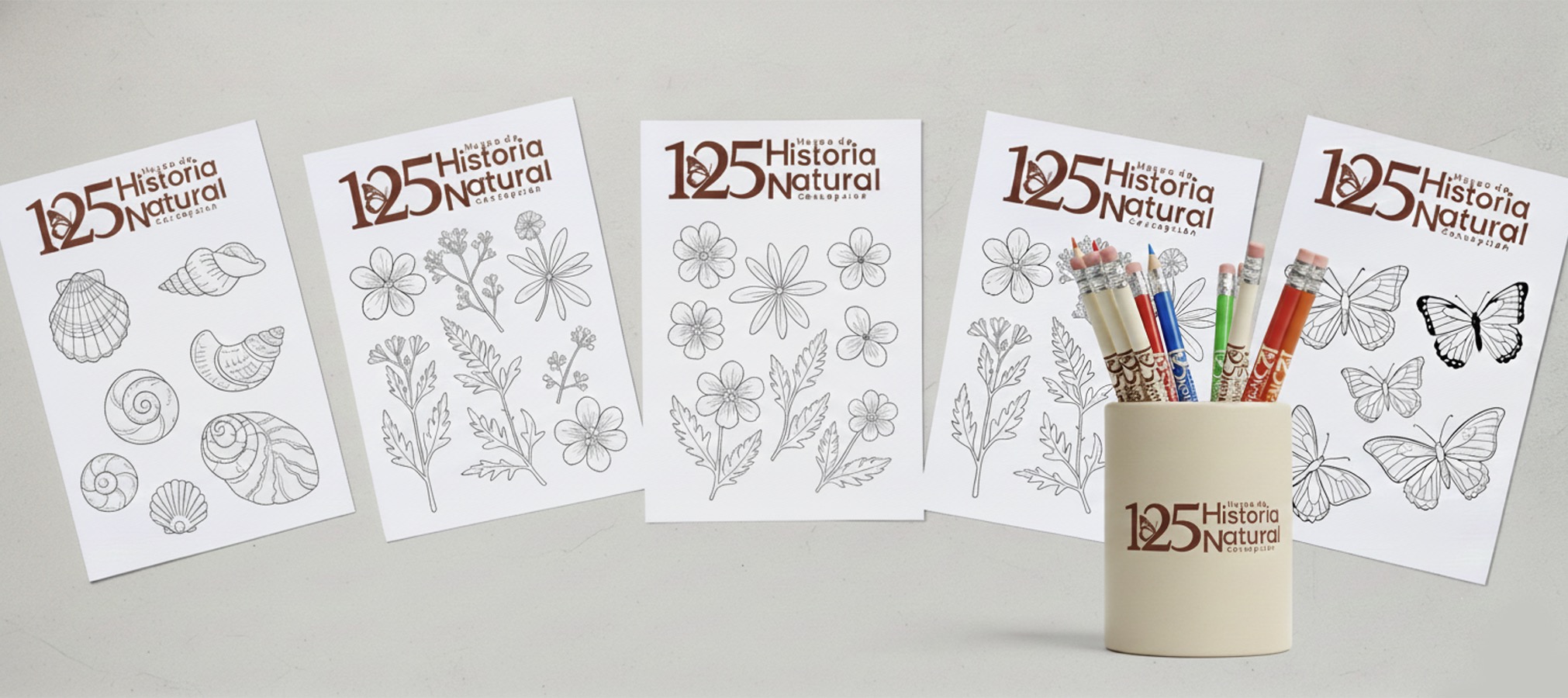 Diseño Marca 125 Años + Sistema Señalización Museo Historia Natural de Concepción