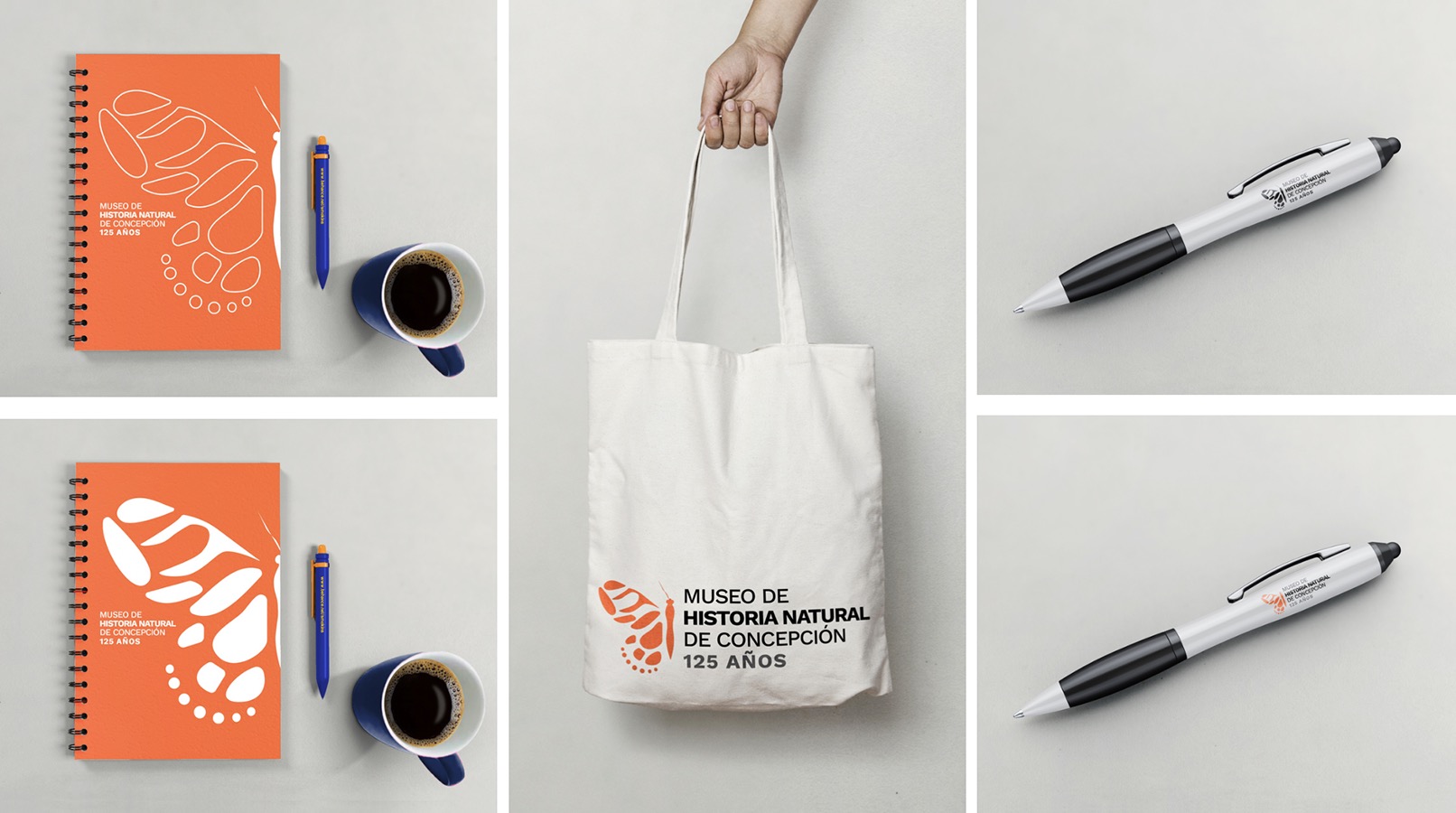 Diseño Marca 125 Años + Sistema Señalización Museo Historia Natural de Concepción