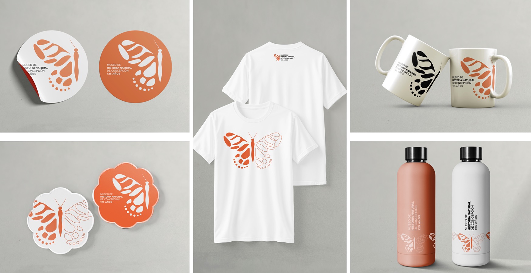Diseño Marca 125 Años + Sistema Señalización Museo Historia Natural de Concepción