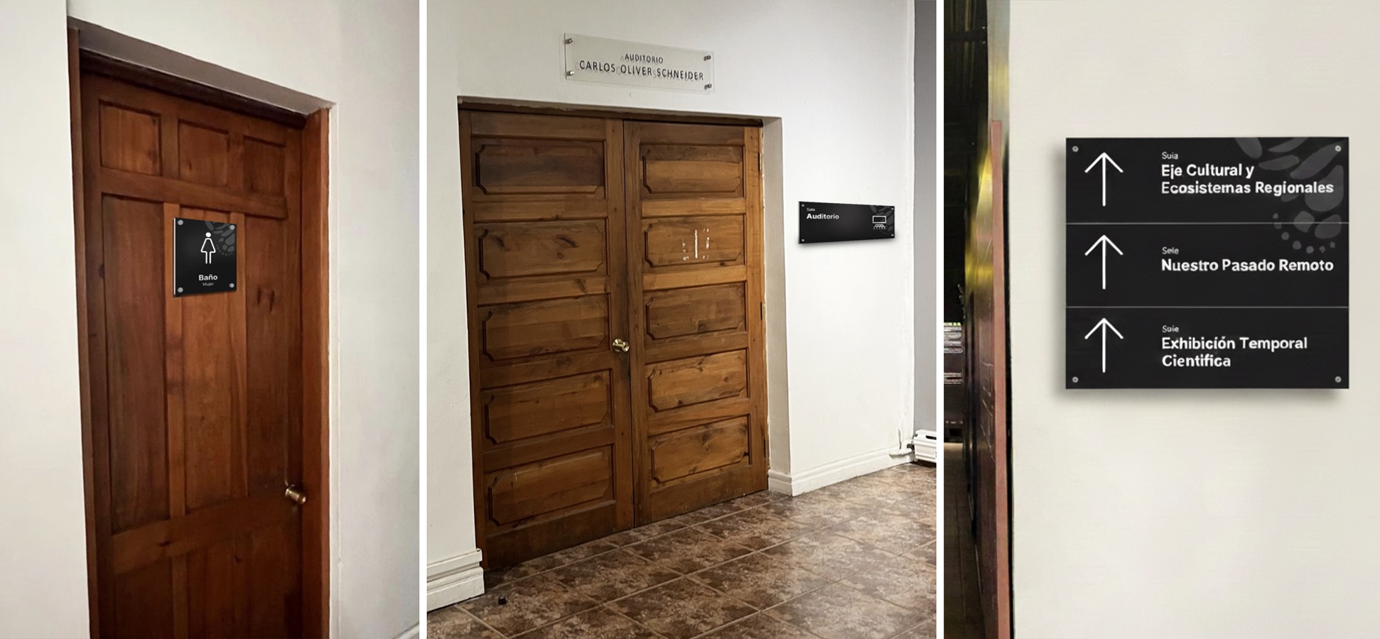 Diseño Marca 125 Años + Sistema Señalización Museo Historia Natural de Concepción