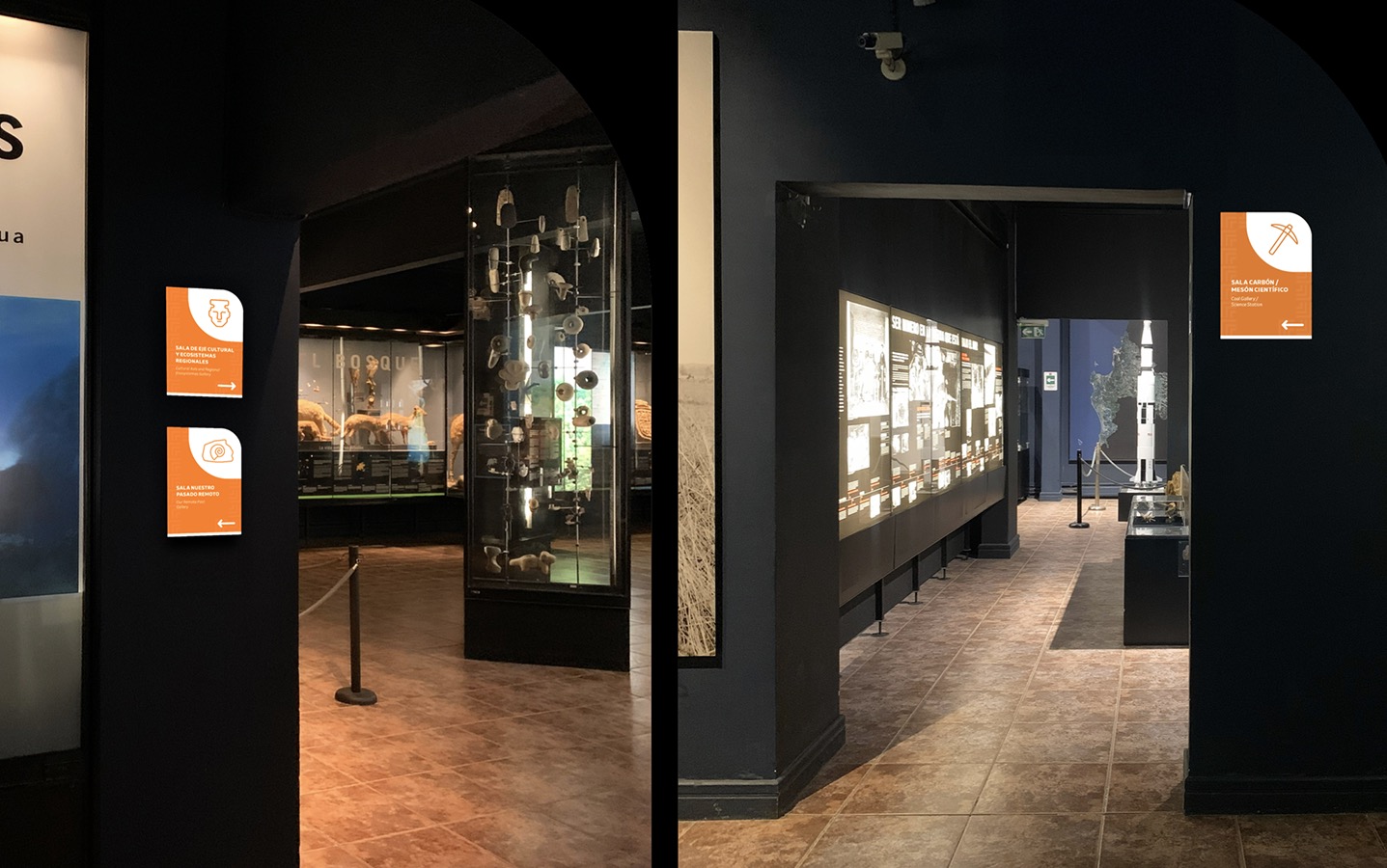 Diseño Marca 125 Años + Sistema Señalización Museo Historia Natural de Concepción