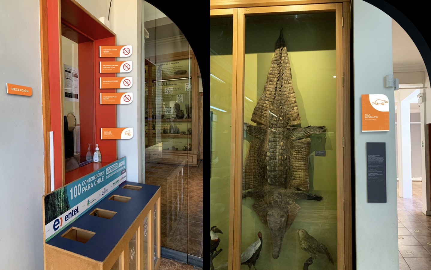 Diseño Marca 125 Años + Sistema Señalización Museo Historia Natural de Concepción