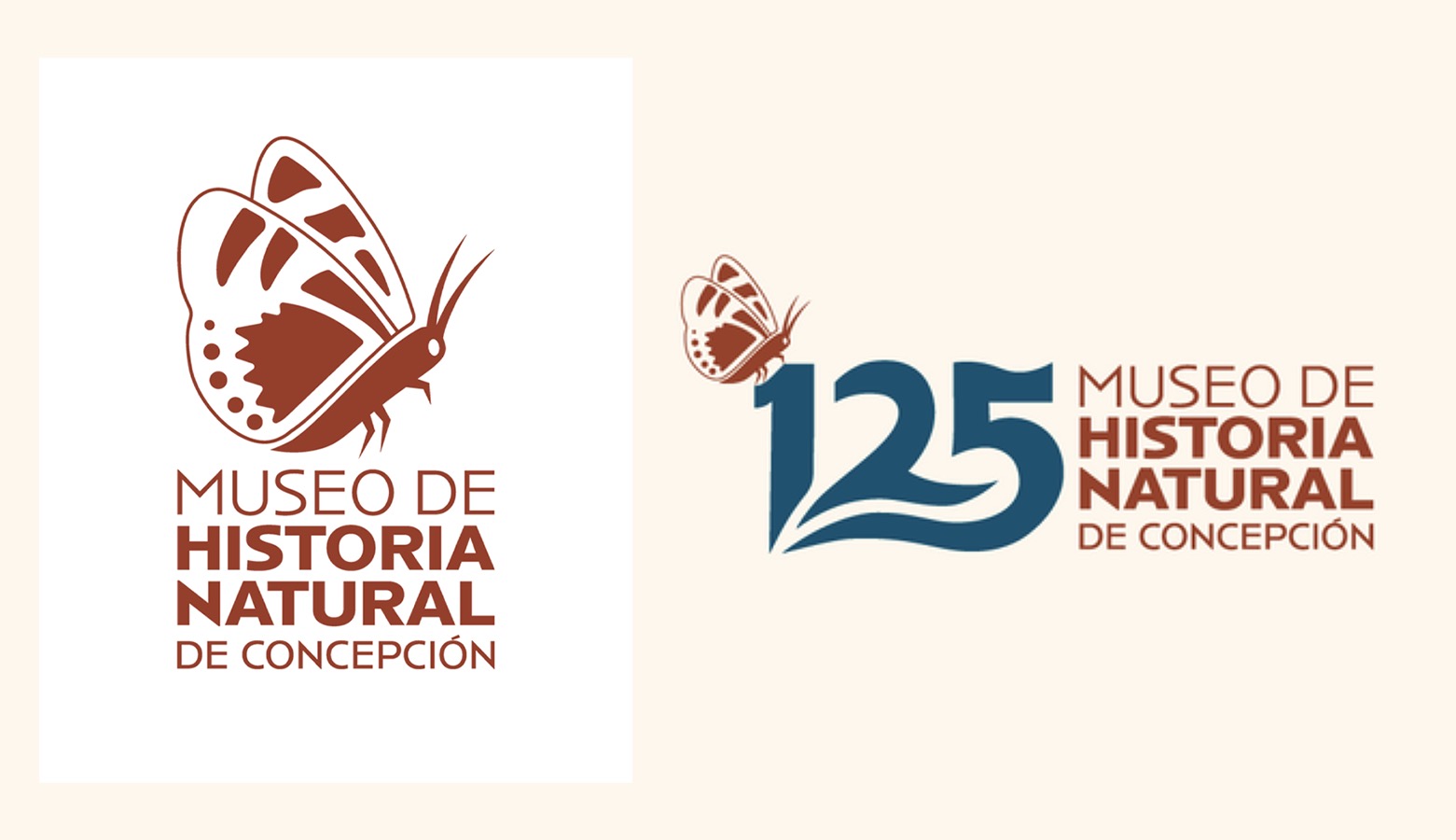 Diseño Marca 125 Años + Sistema Señalización Museo Historia Natural de Concepción