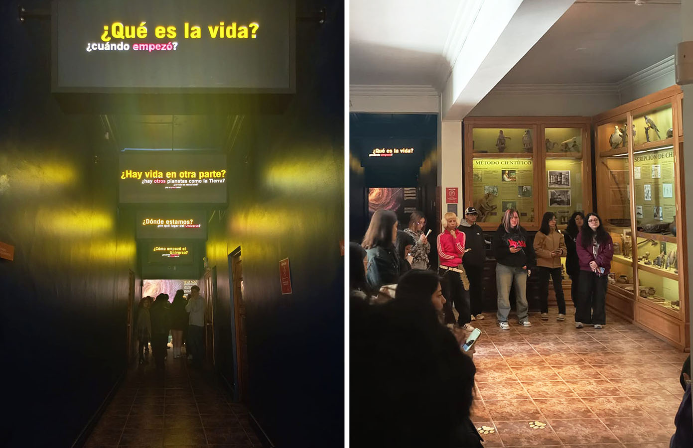 Diseño Marca 125 Años + Sistema Señalización Museo Historia Natural de Concepción