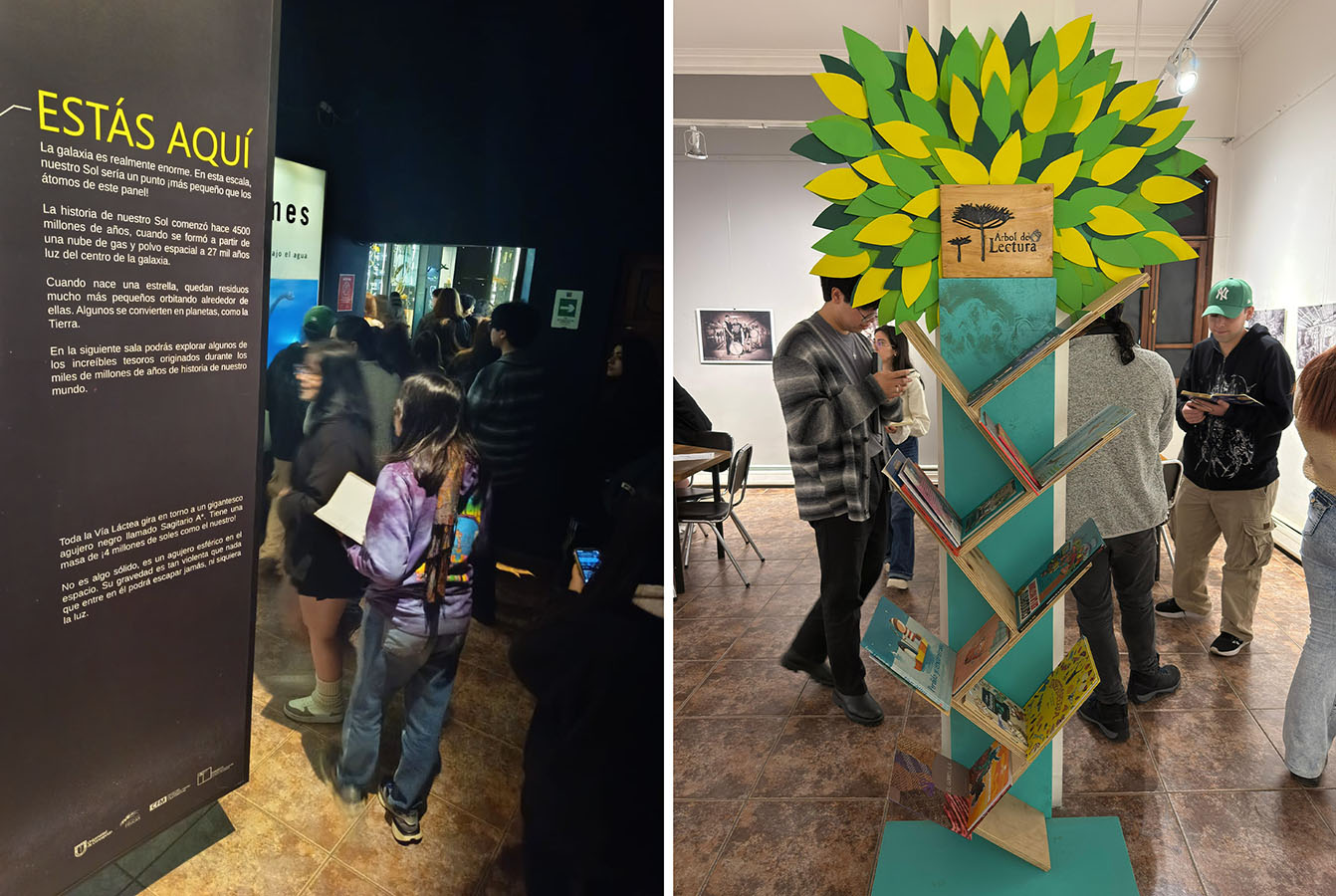 Diseño Marca 125 Años + Sistema Señalización Museo Historia Natural de Concepción