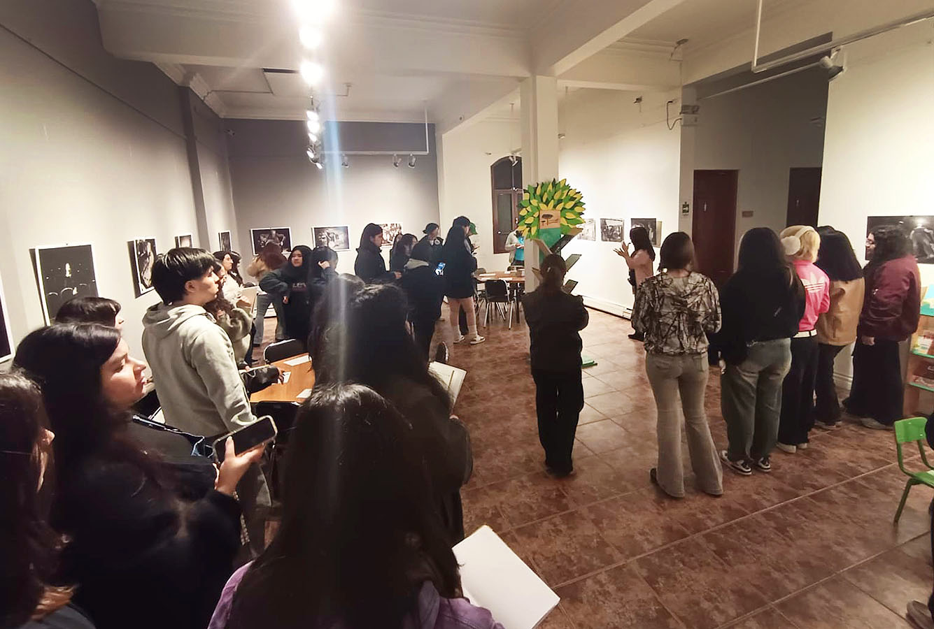 Diseño Marca 125 Años + Sistema Señalización Museo Historia Natural de Concepción