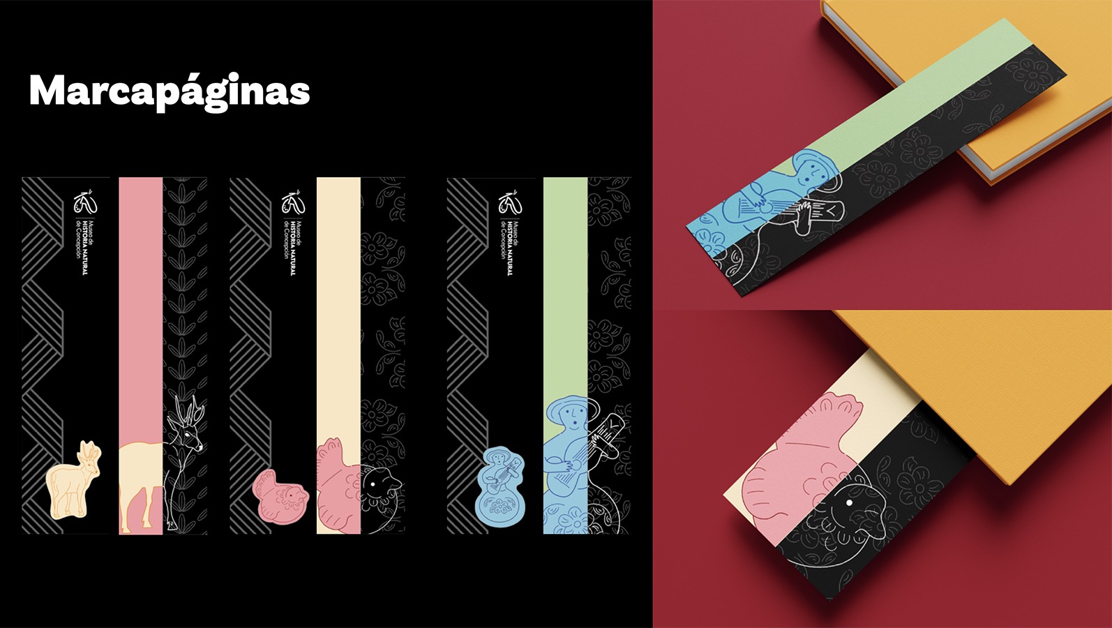 Diseño Marca 125 Años + Sistema Señalización Museo Historia Natural de Concepción