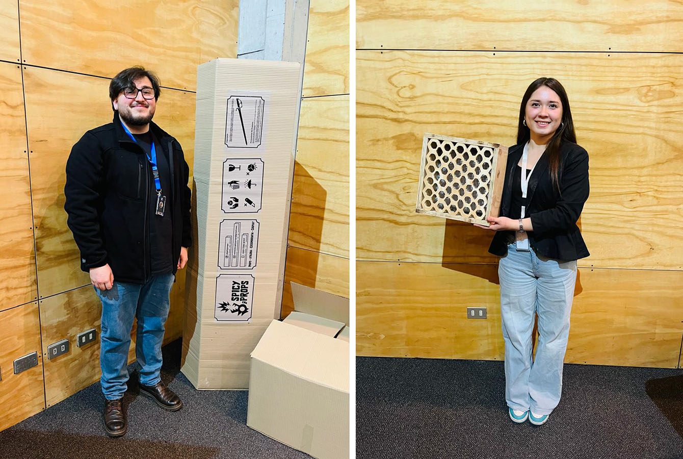 PROYECTO PROFESIONAL DIN 2025 Soluciones de Diseño