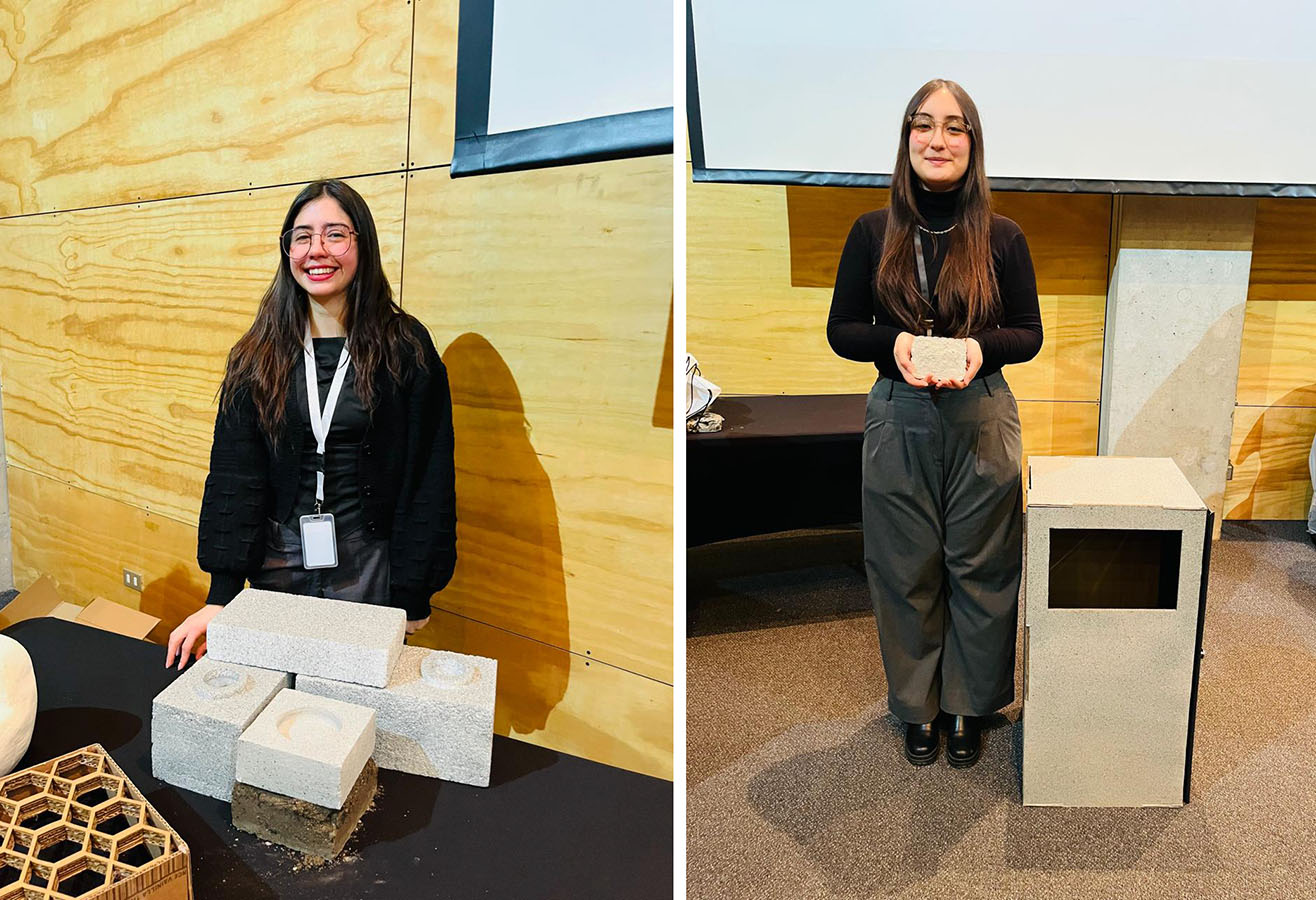 PROYECTO PROFESIONAL DIN 2025 Soluciones de Diseño