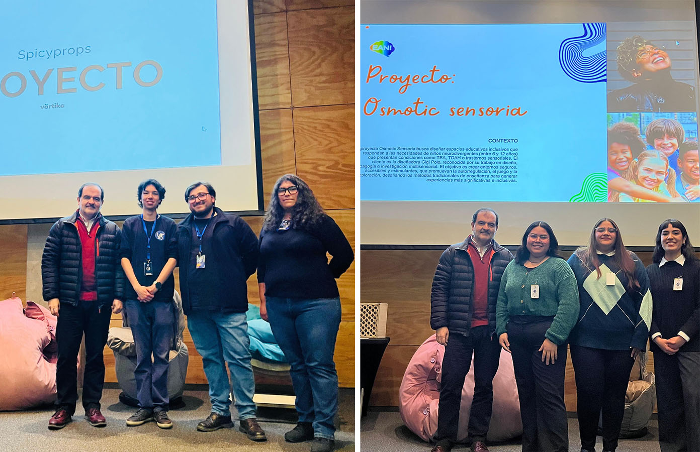 PROYECTO PROFESIONAL DIN 2025 Soluciones de Diseño