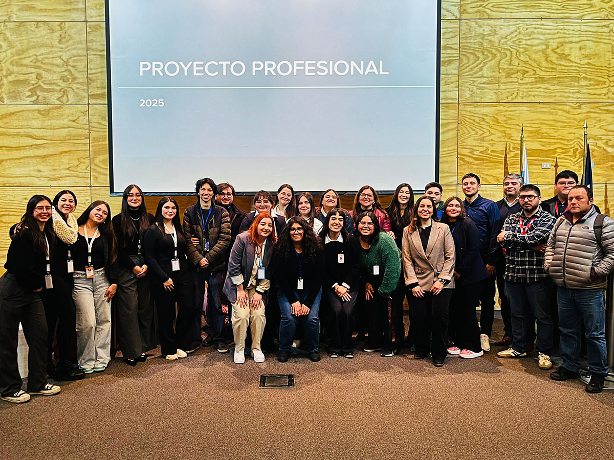 PROYECTO PROFESIONAL DIN 2025 Soluciones de Diseño