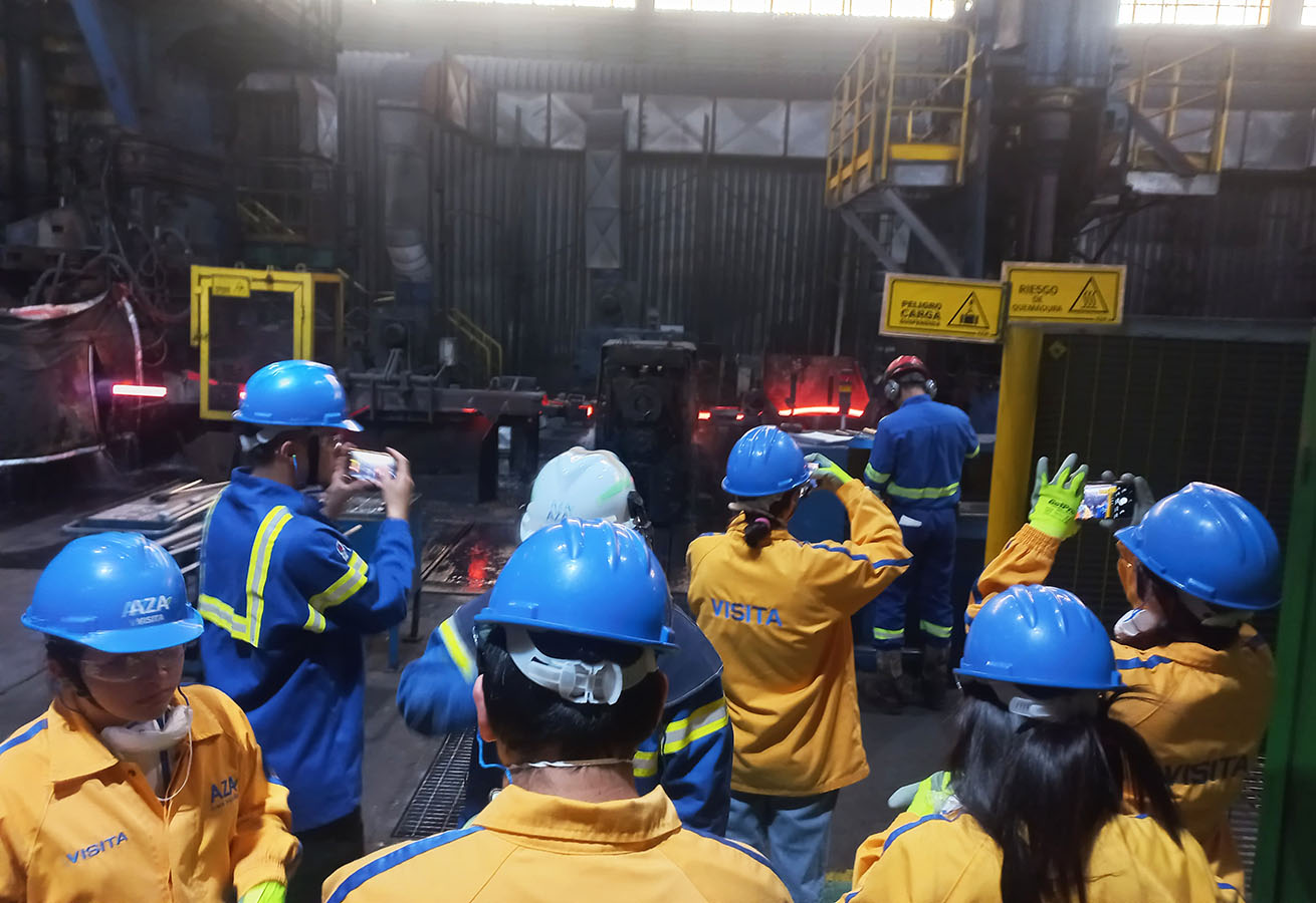 PROYECTO PROFESIONAL DIN 2025 Soluciones de Diseño