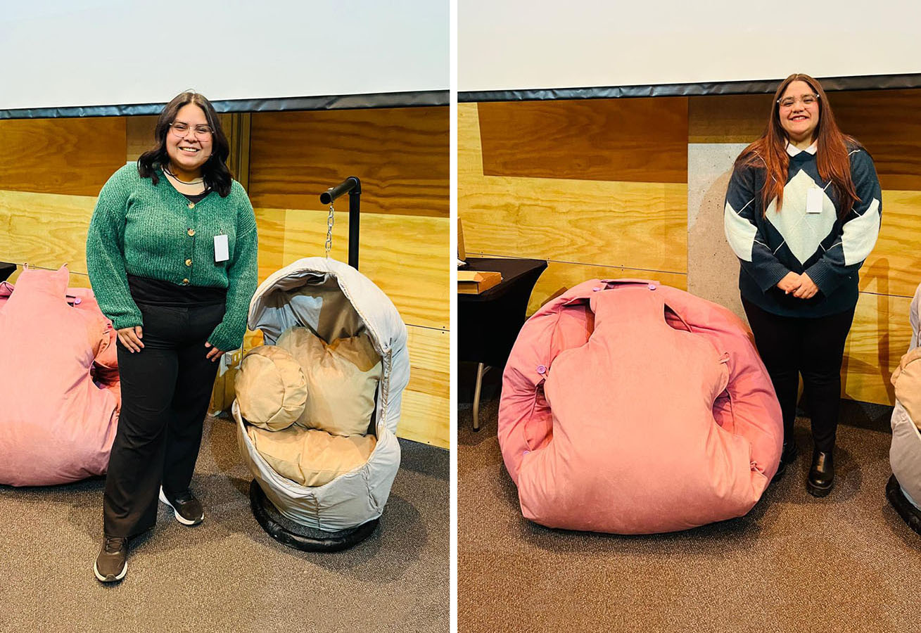 PROYECTO PROFESIONAL DIN 2025 Soluciones de Diseño