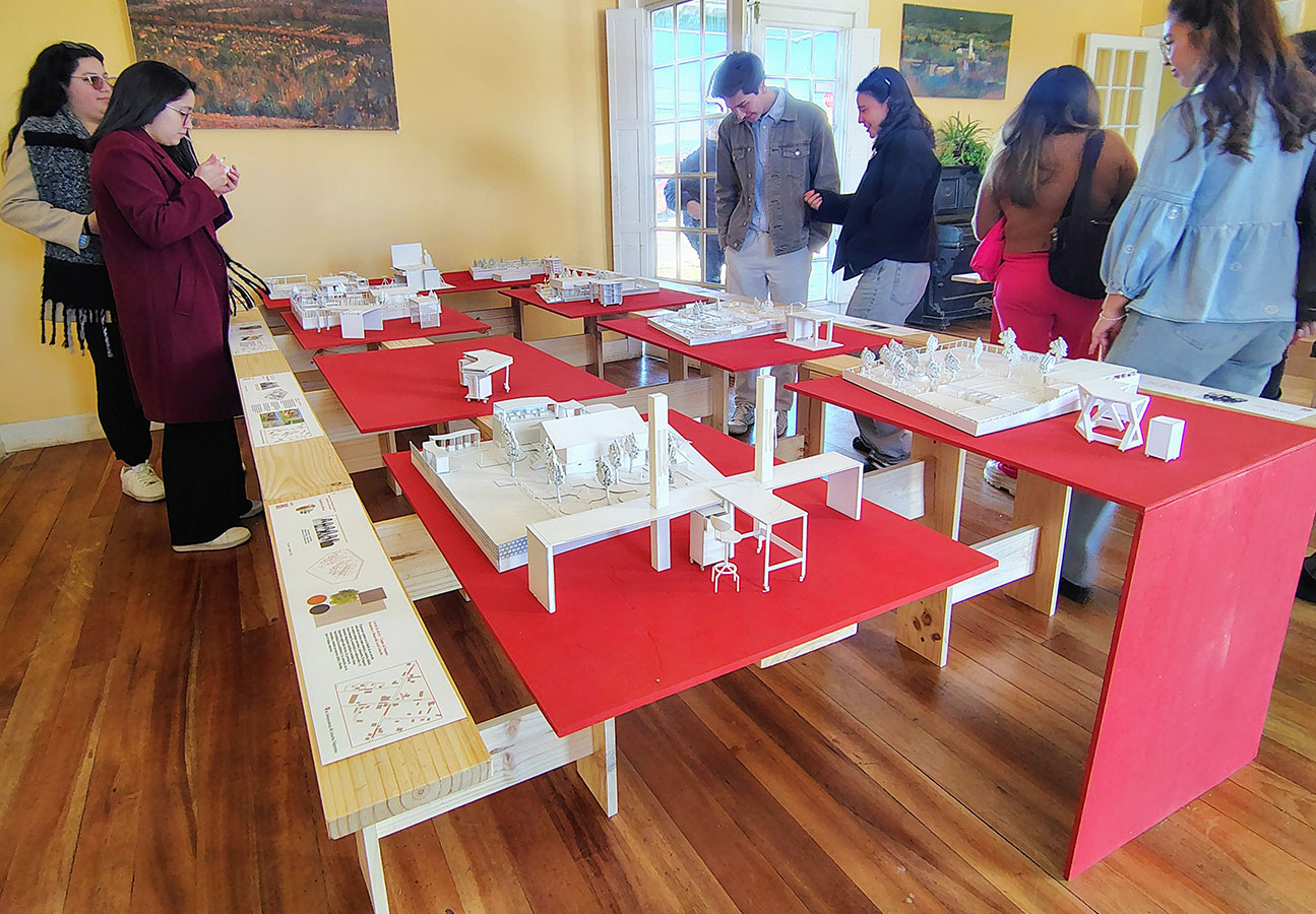 PROYECTO PROFESIONAL Diseñamos la Ciudad de Limache