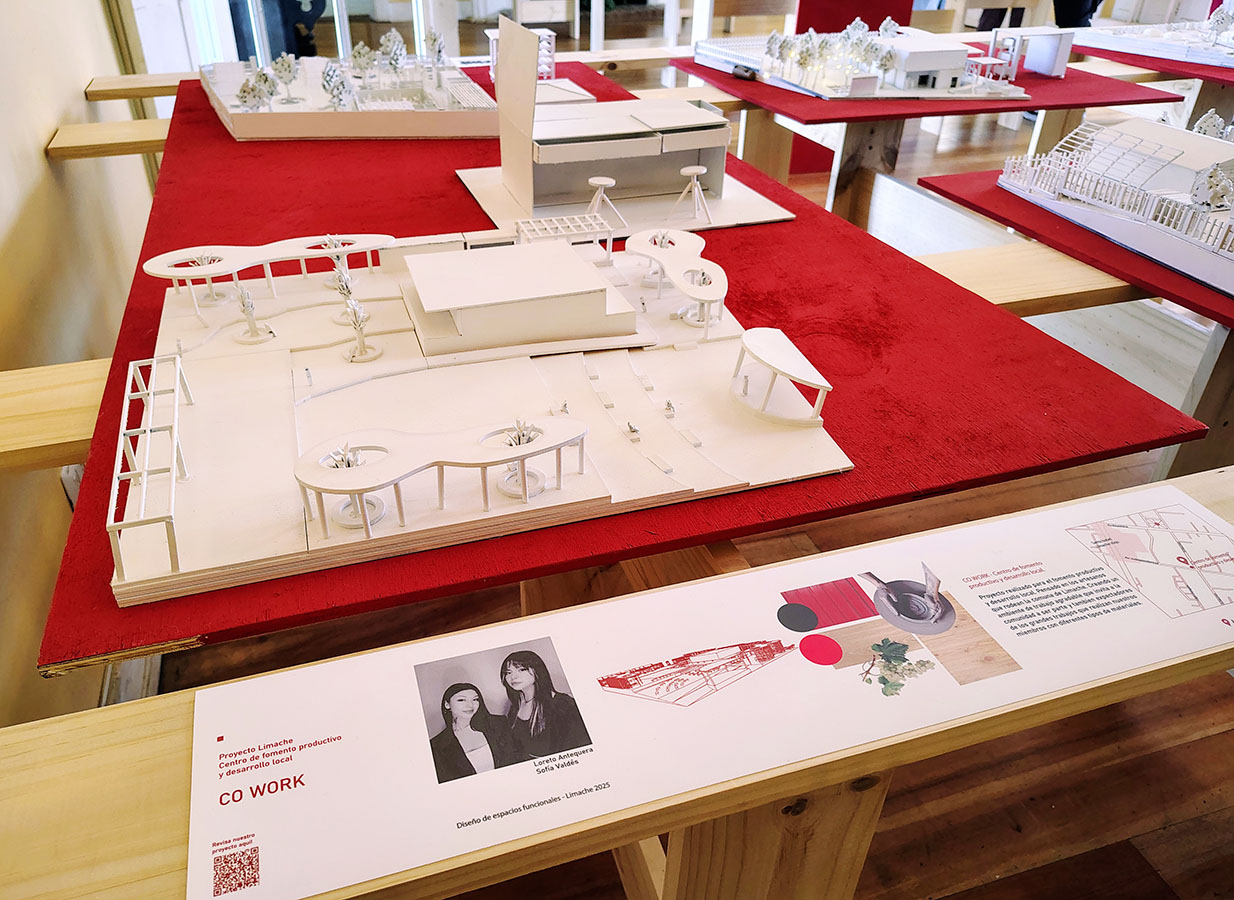 PROYECTO PROFESIONAL Diseñamos la Ciudad de Limache