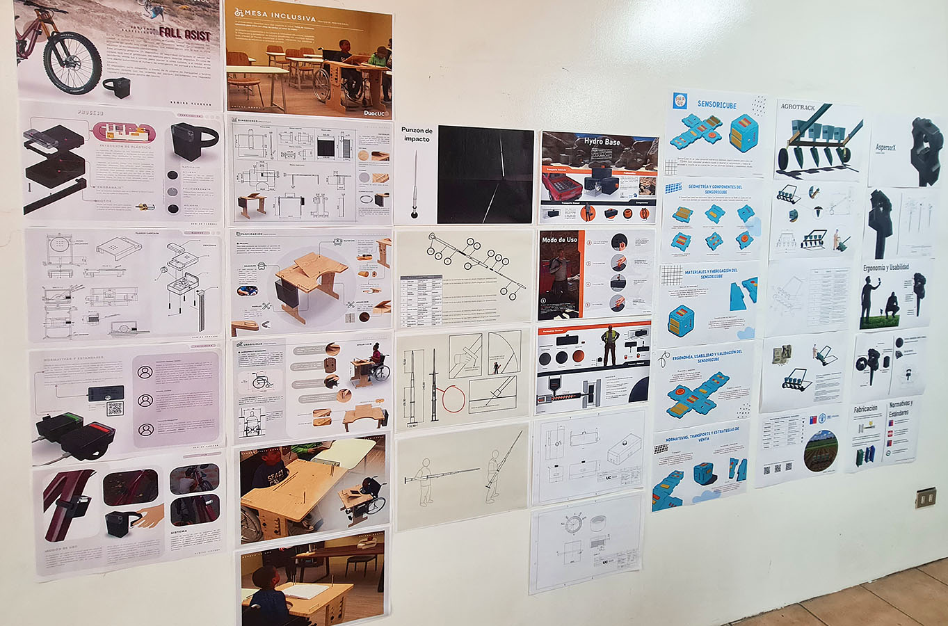 PROYECTO PROFESIONAL DAM con Clientes Reales