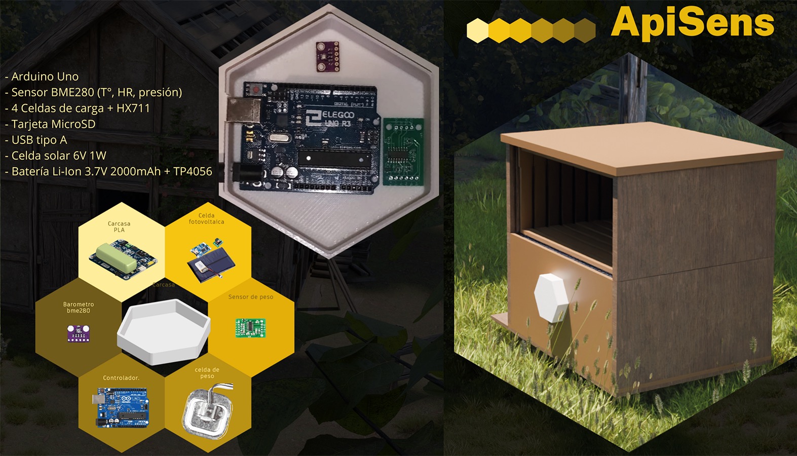 PROYECTO PROFESIONAL DAM con Clientes Reales