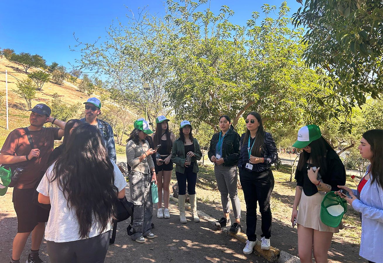 Stand Modular con Enfoque Sustentable para Emprendedores e Instituciones de Renca