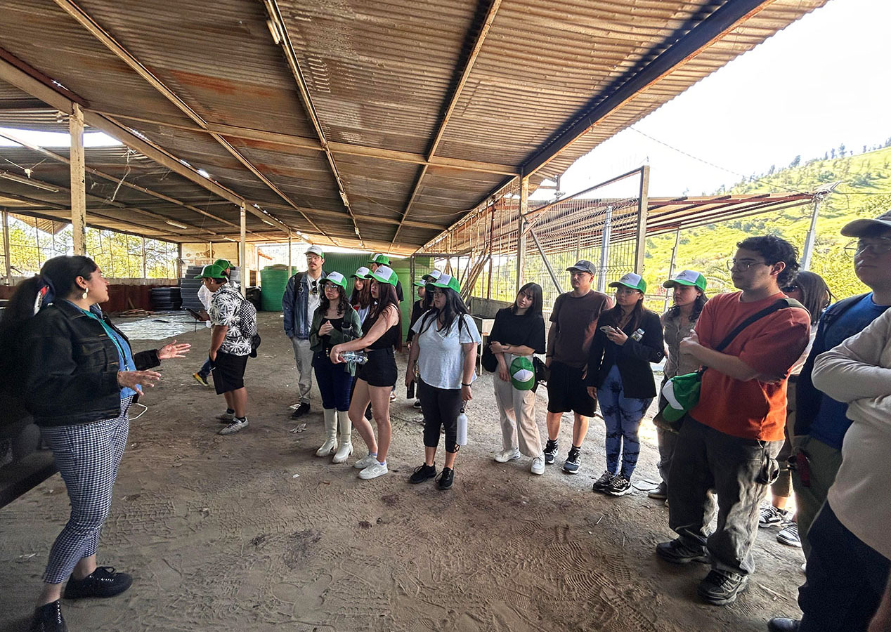 Stand Modular con Enfoque Sustentable para Emprendedores e Instituciones de Renca