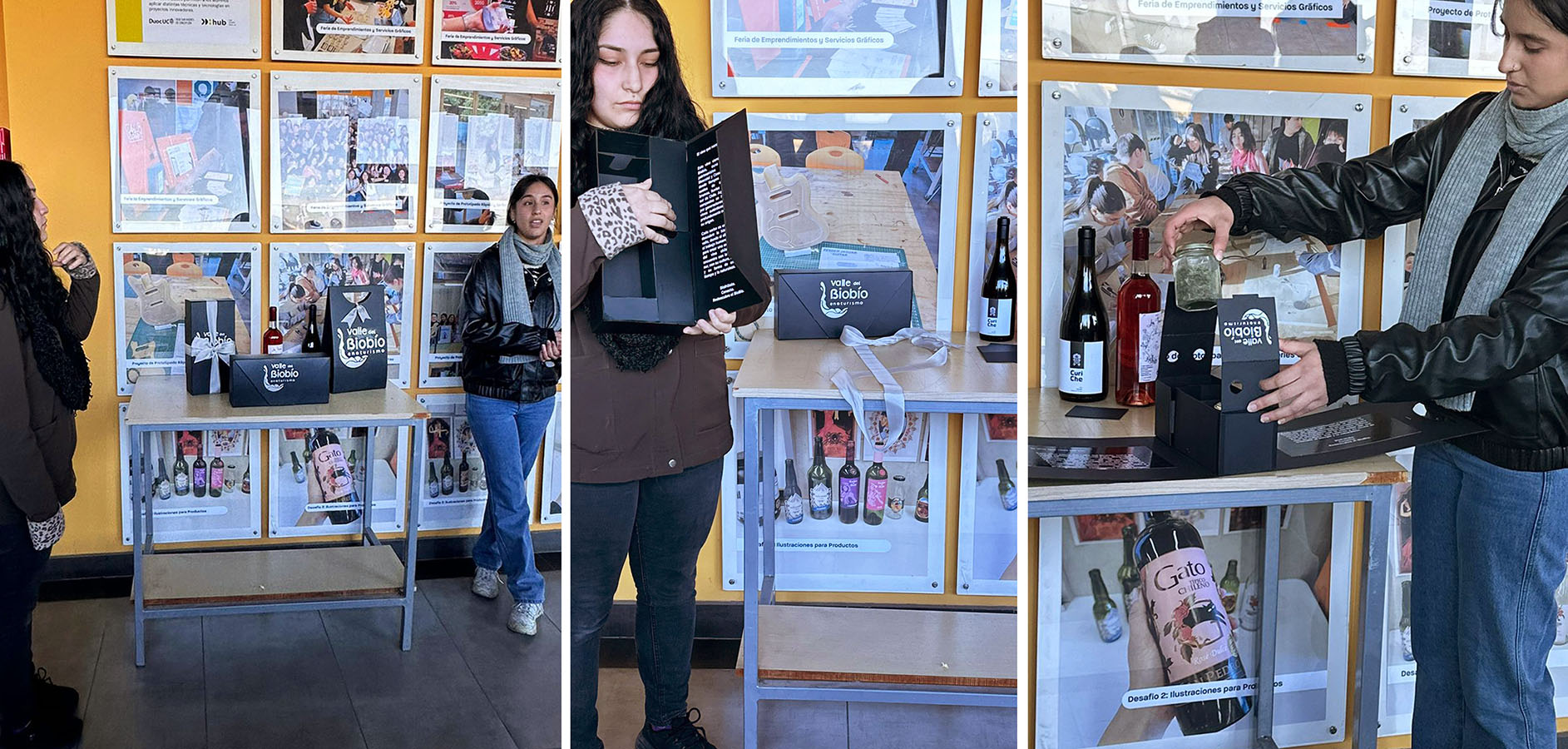 Diseño de Packaging Valle del Biobío