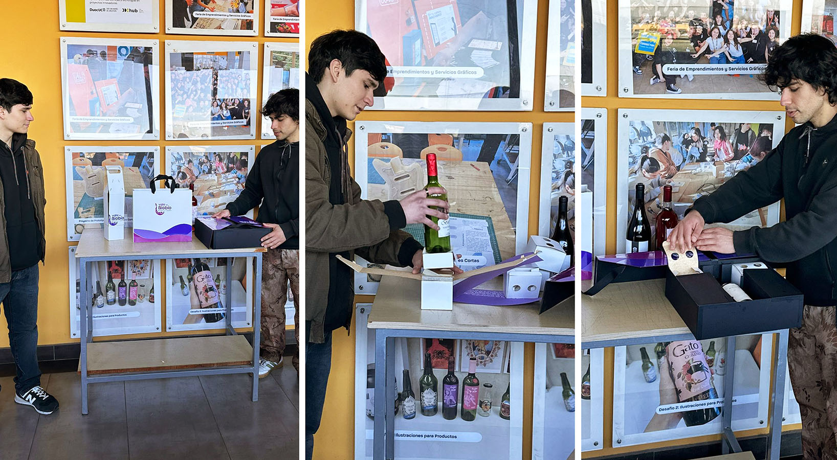 Diseño de Packaging Valle del Biobío