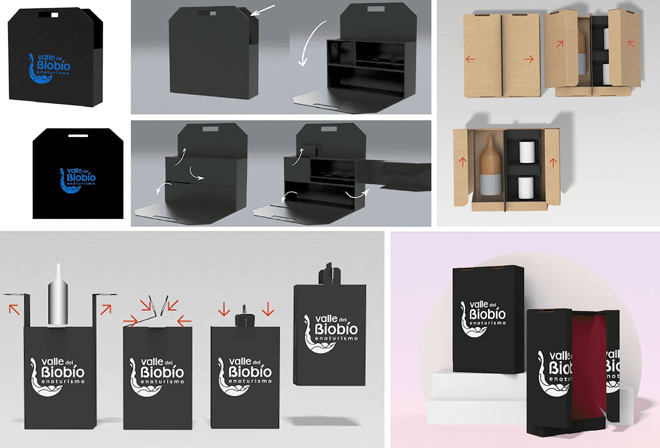 Diseño de Packaging Valle del Biobío